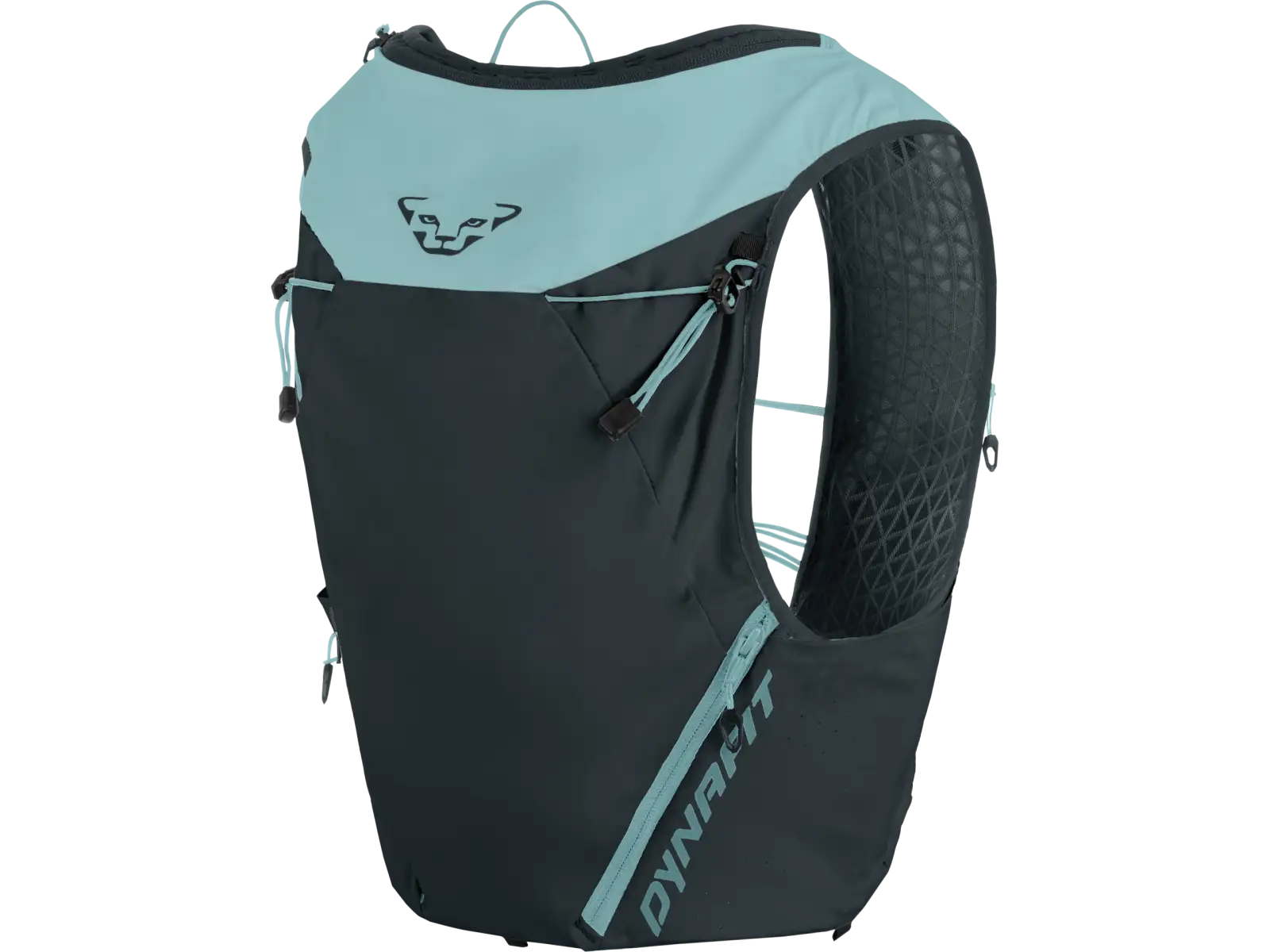 Dynafit Alpine 15 l running vest Marine Blue/Blueberry
