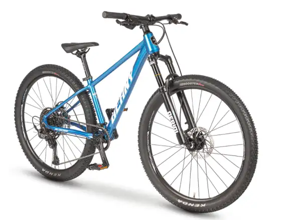 Beany Blaster 26 kids' bike Blue