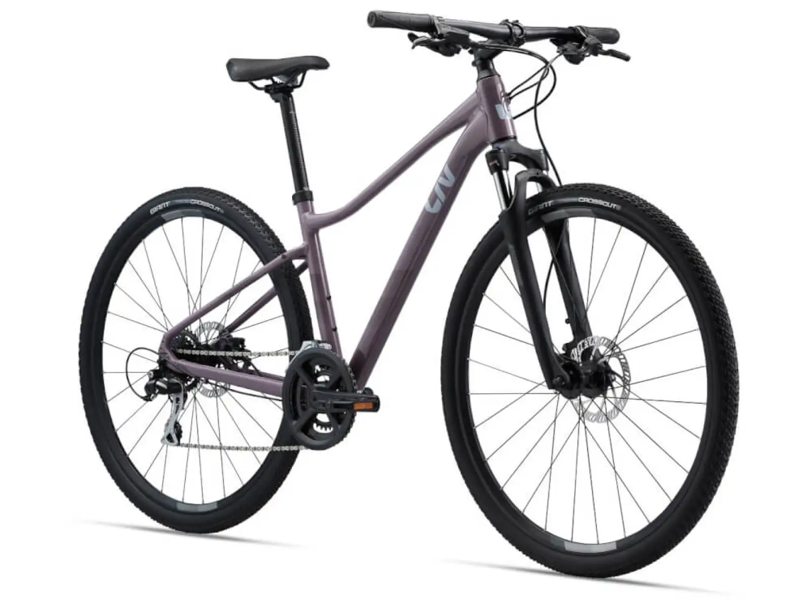 Liv Rove 3 DD Purple ash trekking bike