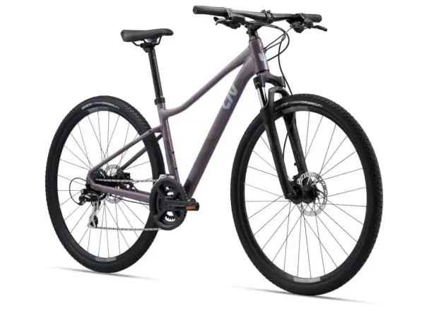 Liv Rove 3 DD Purple ash trekking bike