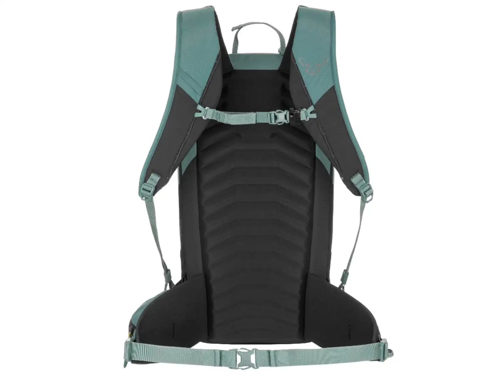 Dynafit Ridge backpack 26 l Tobacco/Black Out