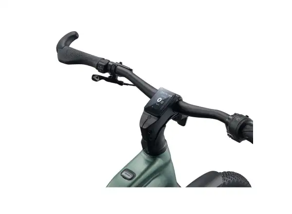 Giant Explore E+ 2 DD trekking e-bike Alpine Green