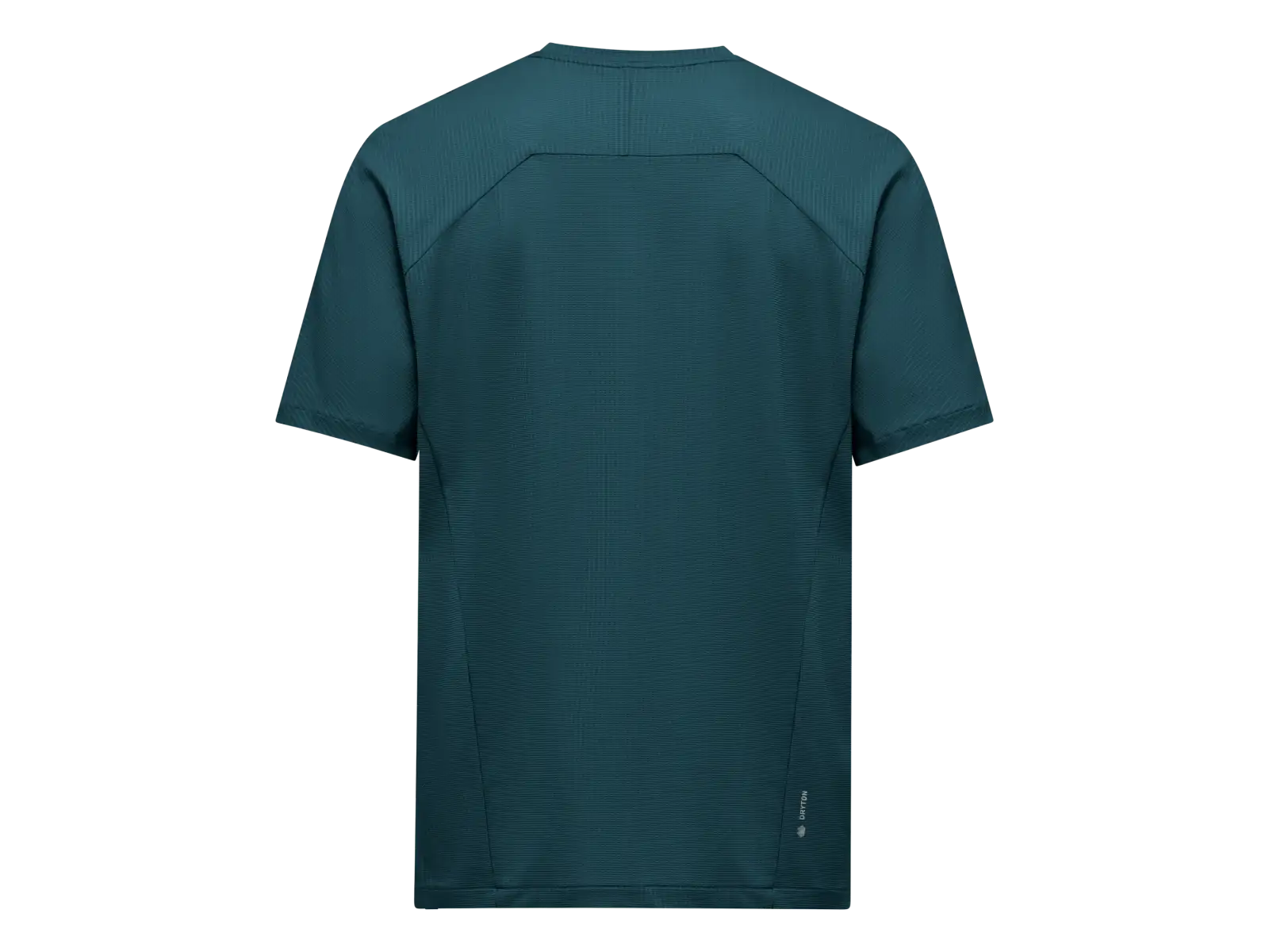 Salewa Pedroc Dry Light men's short sleeve T-shirt Pond blue