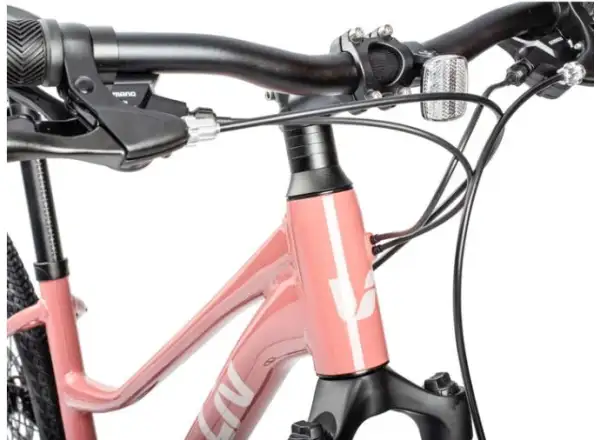 Liv Rove 4 DD trekking bike terra rose