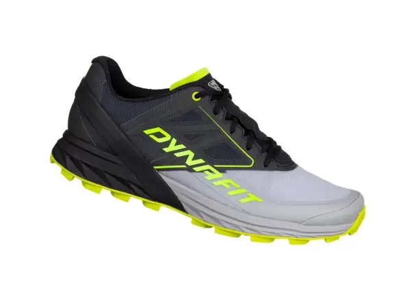 Dynafit Alpine men's running shoes Alloy Black Out