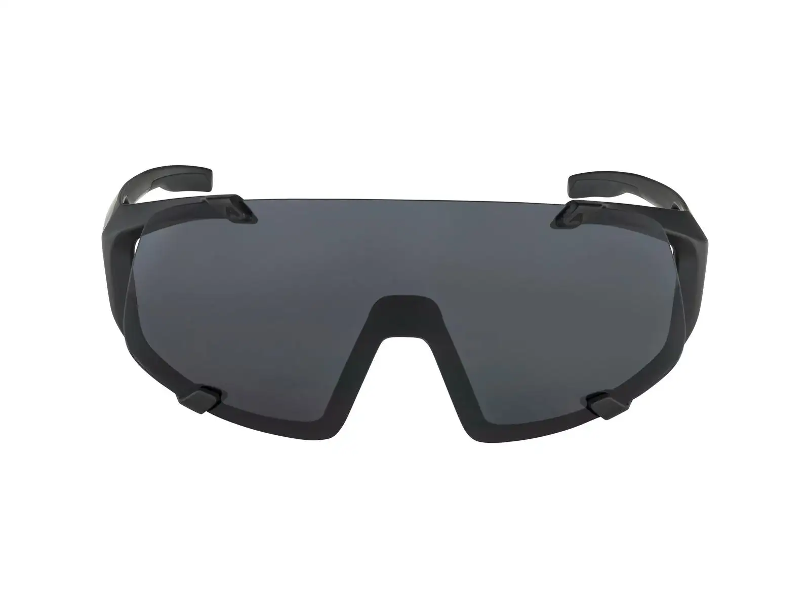 Alpina Hawkeye glasses All Black Matt