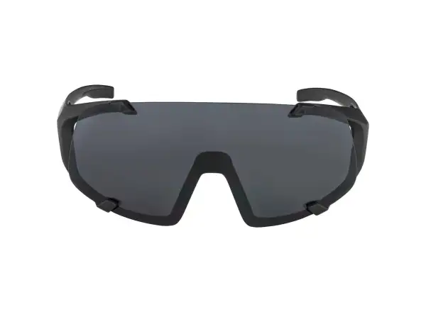 Alpina Hawkeye glasses All Black Matt