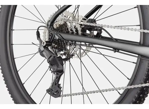 Cannondale Trail 2 29" mountain bike Black