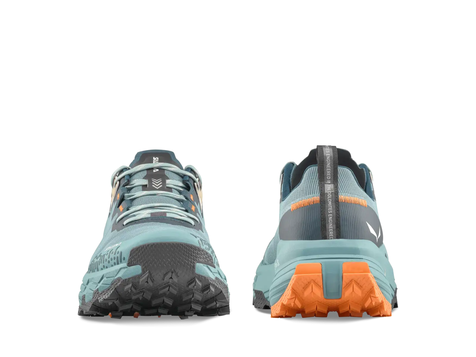Salewa Pedroc 2 Max men's shoes Willow/Pond