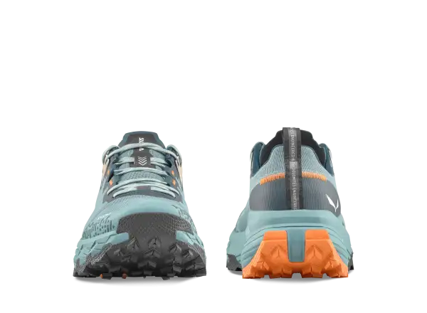 Salewa Pedroc 2 Max men's shoes Willow/Pond