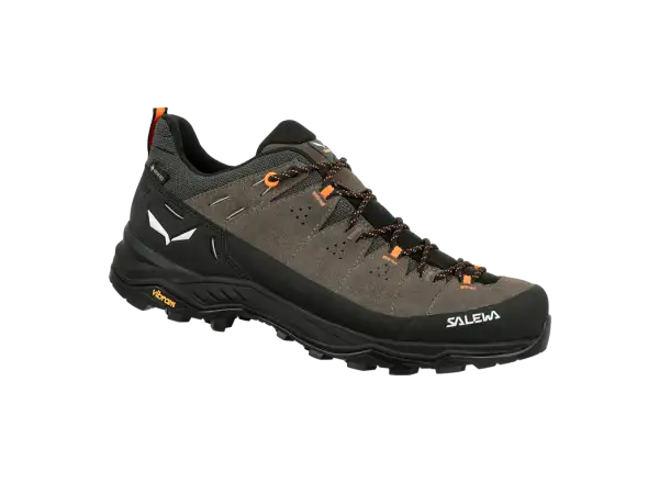 Salewa Alp Trainer 2 GTX men's shoes Bungee Cord/Black