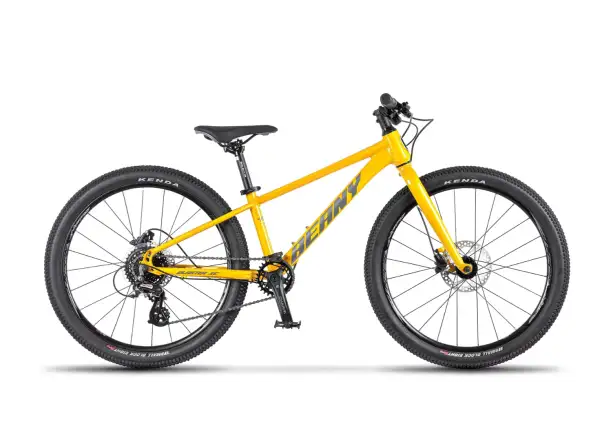 Beany Blaster XC 20 children's bike Gold
