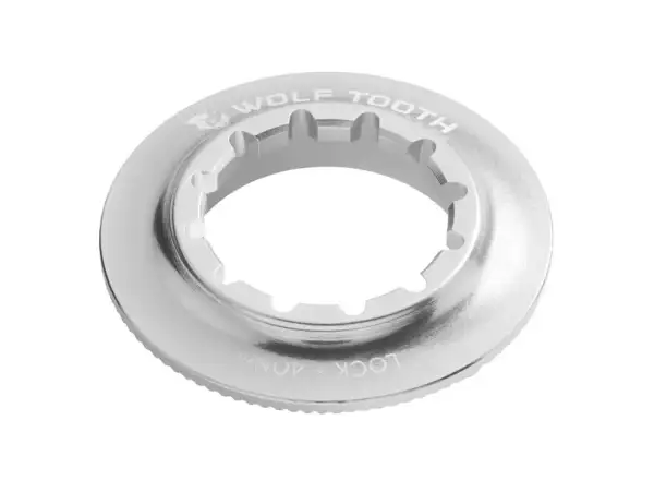 Wolf Tooth nut Centerlock Rotor Internal Spline raw silver