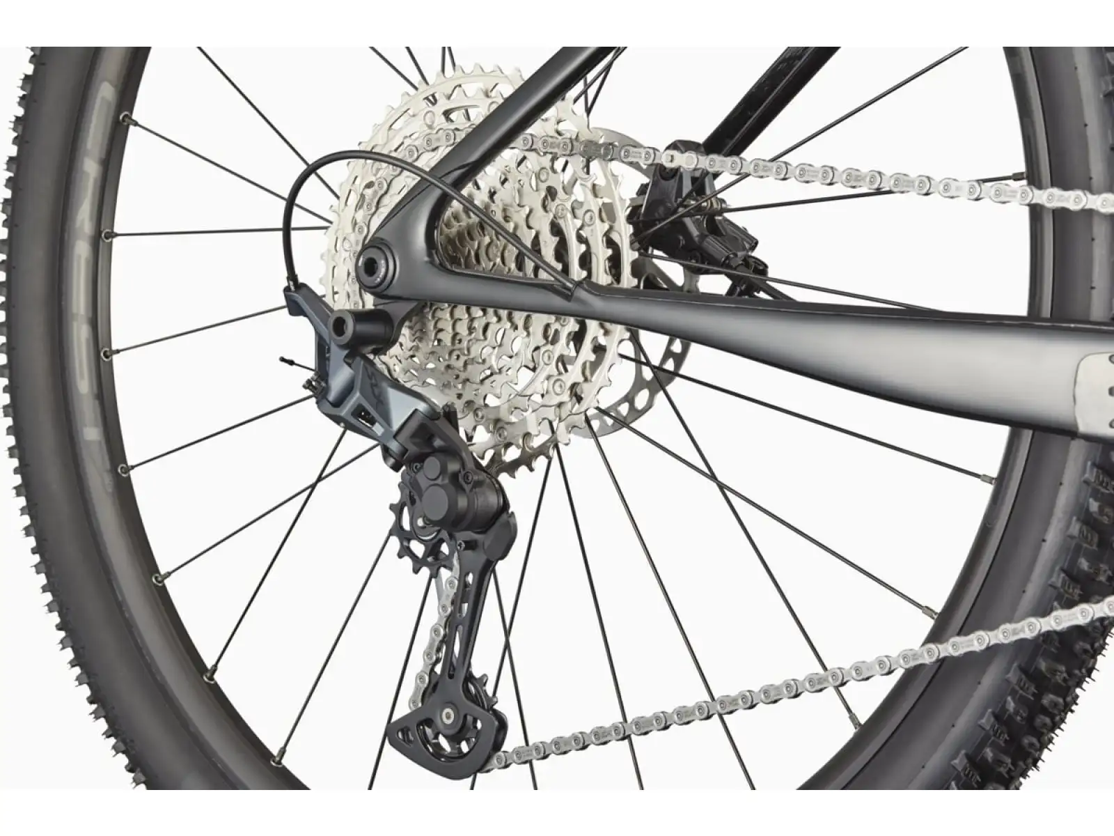 Cannondale Scalpel HT Carbon 2 mountain bike SBK