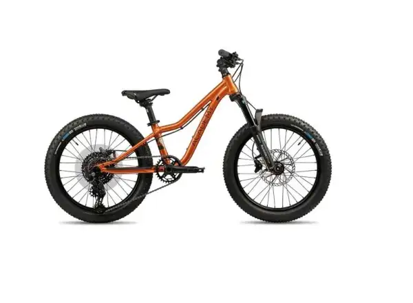 Academy S-Grade Trail 4 kids bike 20" orange