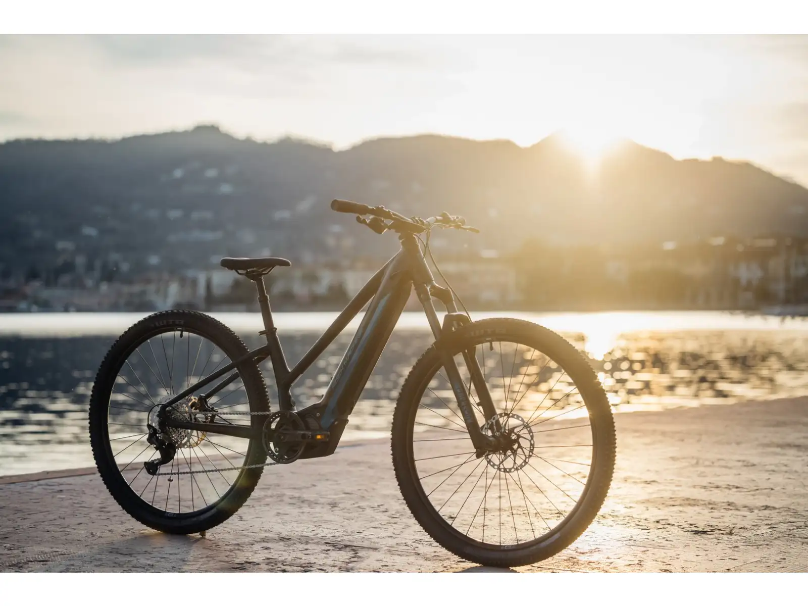 Rock Machine Torrent E90-29 Easy Entry mountain e-bike Petrol SAMPLE