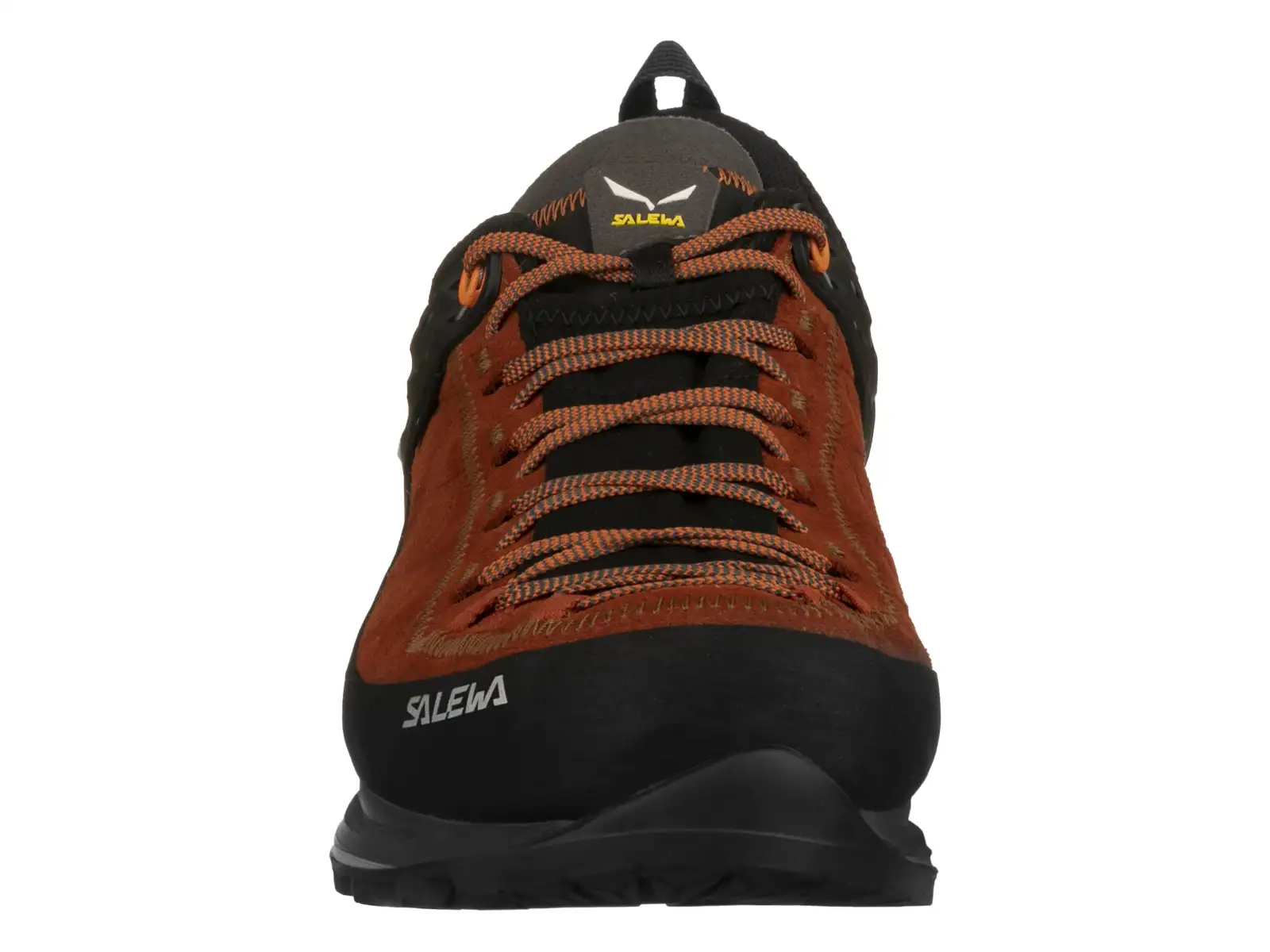 Salewa Mountain Trainer 2 GTX men's trekking shoes Autumnal/Black