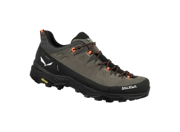 Salewa Alp Trainer 2 men's shoes Bungee Cord / Black