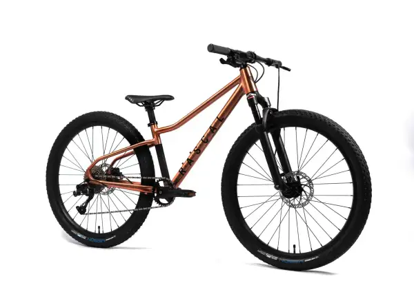 Rascal Wild 26 children's bike Bronze