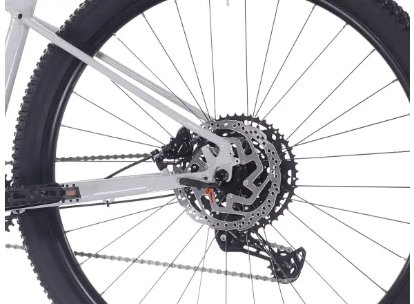 Rock Machine Blizz 30 mountain bike 29" Gloss Limerock Grey