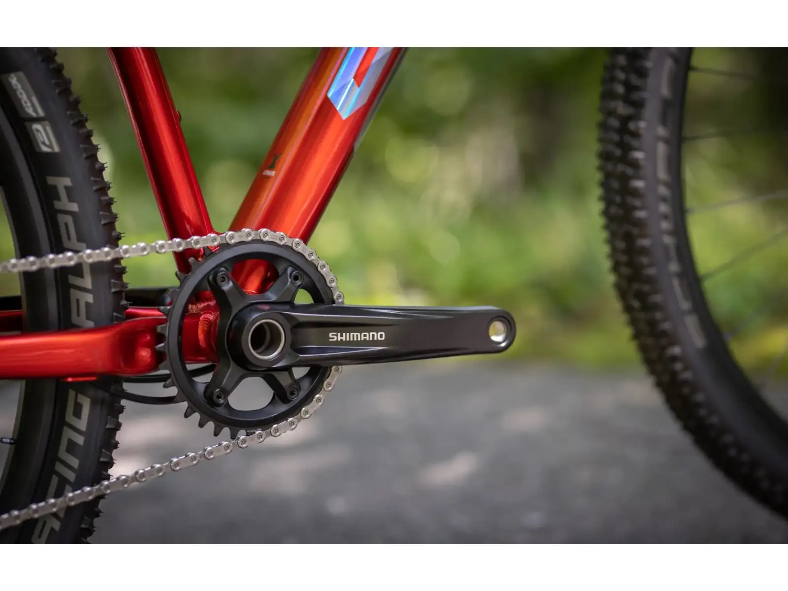 Superior XP 919 mountain bike Gloss Dark Red/Hologram Chrome