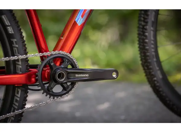 Superior XP 919 mountain bike Gloss Dark Red/Hologram Chrome