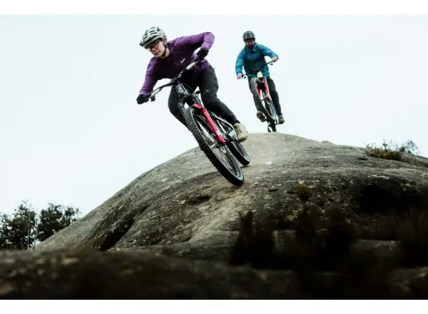 Cannondale Bad Habit 1 mountain bike RAW Carbon