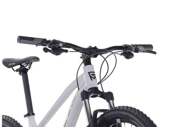 Rock Machine Manhattan 40-29 mountain bike Limerock Grey