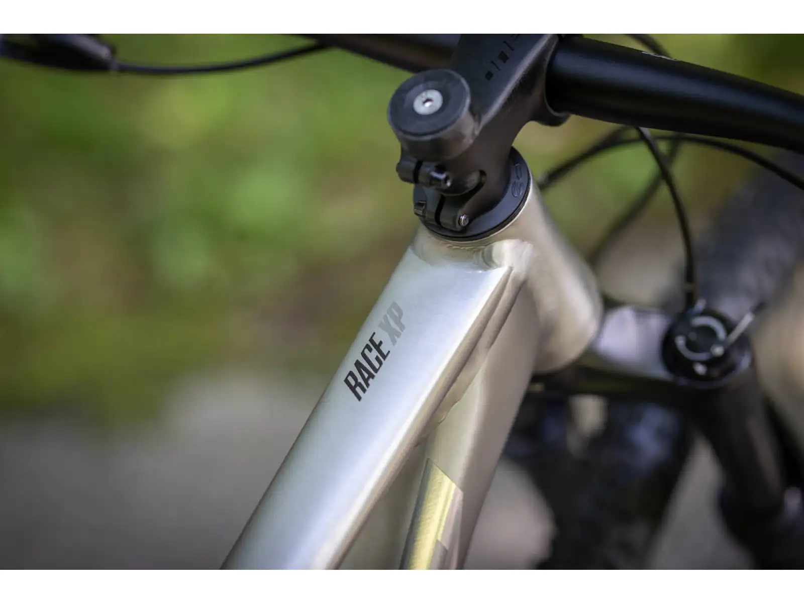 Superior XP 939 mountain bike Brushed Alu/Hologram Chrome