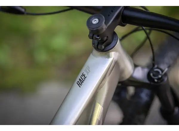 Superior XP 939 mountain bike Brushed Alu/Hologram Chrome