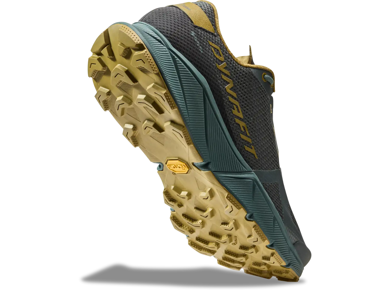 Dynafit Ultra 100 GTX men's shoes Lichen/Atlantic