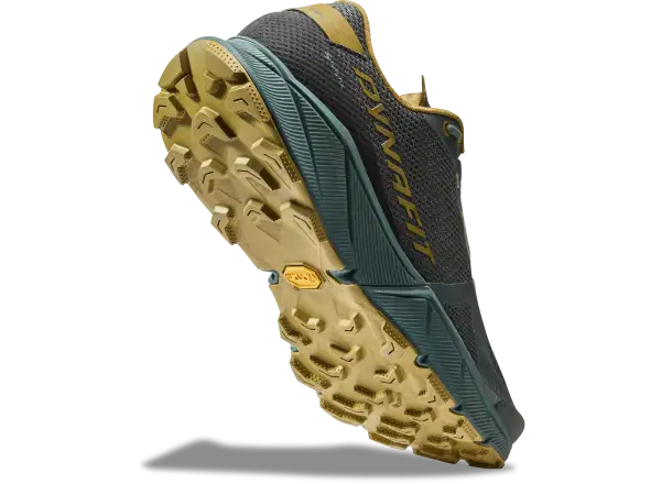 Dynafit Ultra 100 GTX men's shoes Lichen/Atlantic