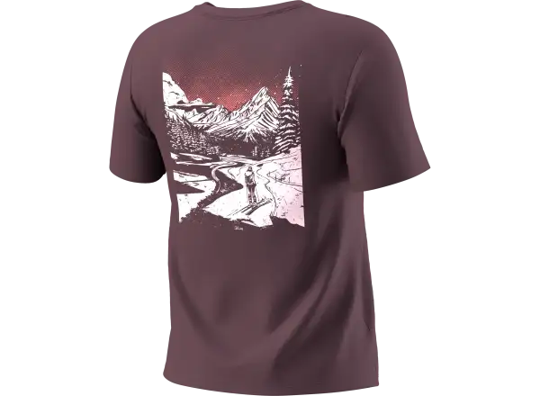 Dynafit Back Graphic Cotton women's T-shirt short sleeve Ephemera/Valley