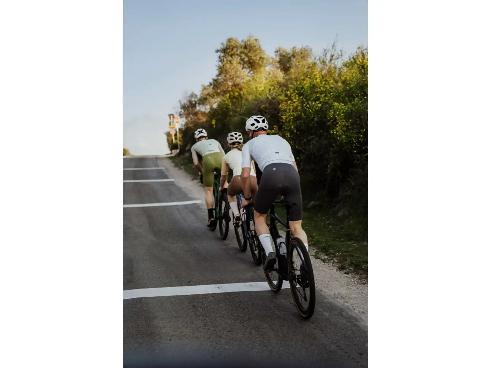 Force Leopard men's jersey short sleeve white/gray