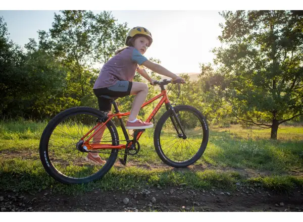 Rascal 26 5 sp. Sturmey Archer children's bike Flame