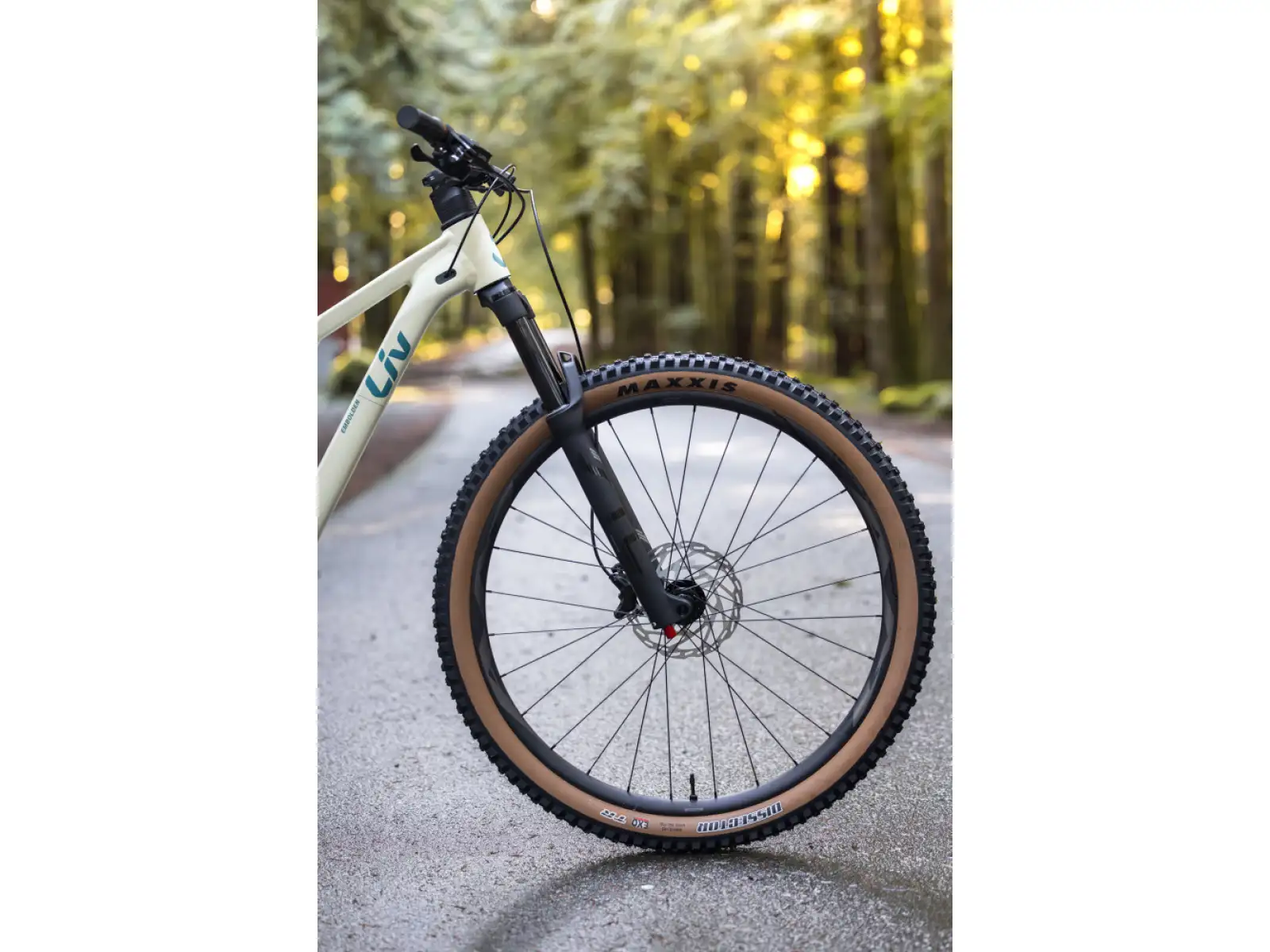 Liv Embolden 2026 mountain bike Pale Moss