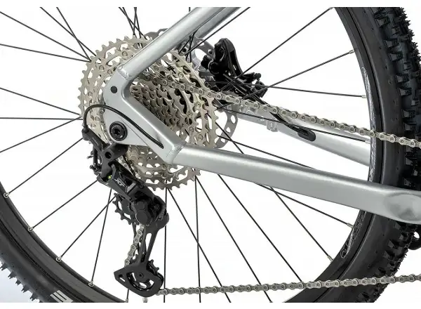 Apache Hupahu 1 750Wh mountain e-bike silver