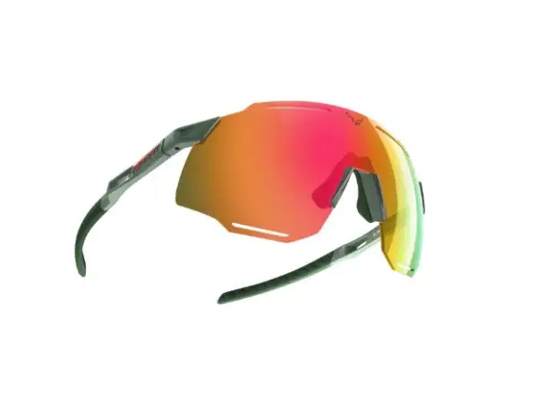 Dynafit Alpine Evo sunglasses Sage/Thyme