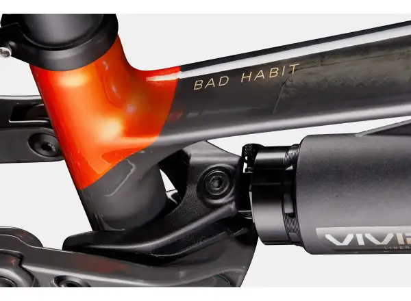 Cannondale Bad Habit 1 mountain bike RAW Carbon