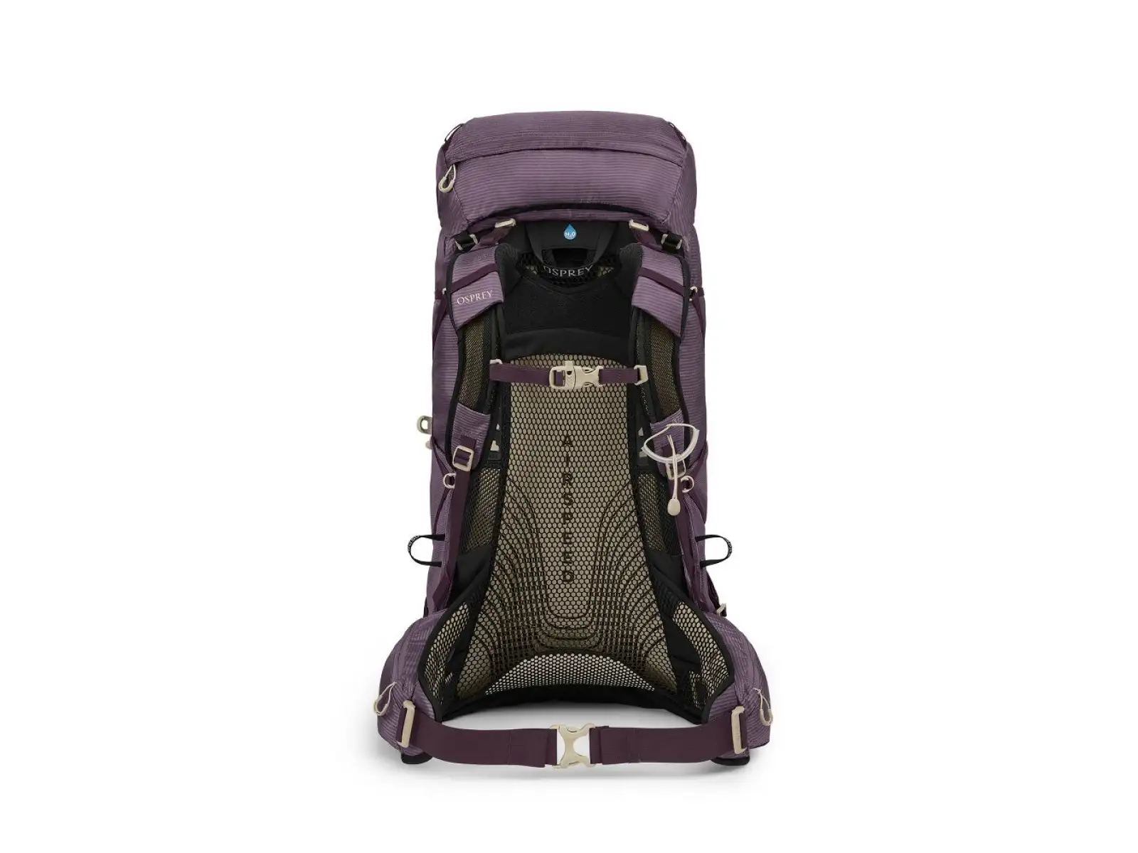 Osprey Eja 48 women's hiking backpack Purple Dusk XS/S