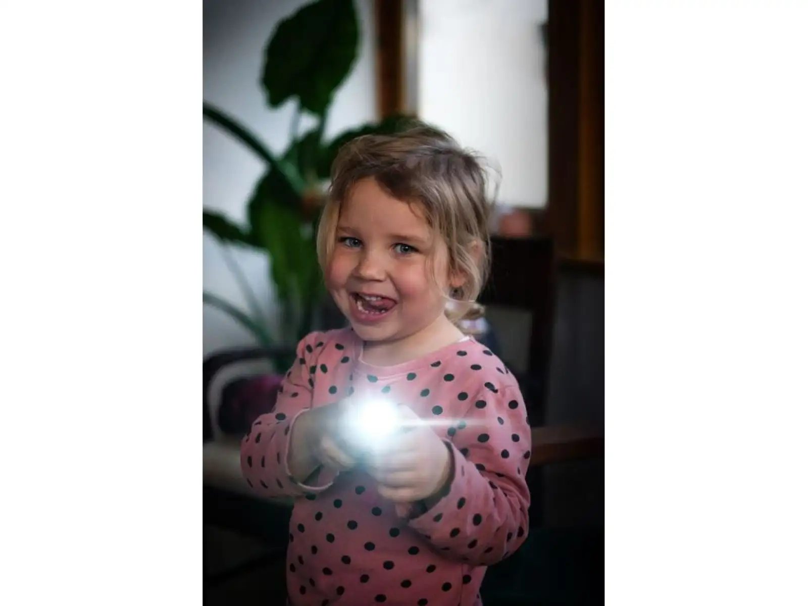 Ledlenser KidBeam4 Rainbow Flashlight
