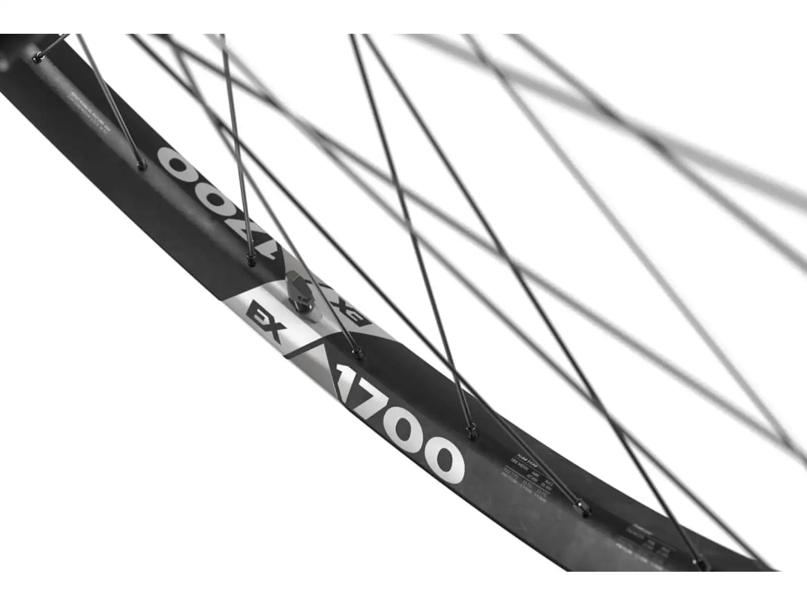 DT Swiss EX 1700 Spline Boost 29" wheelset