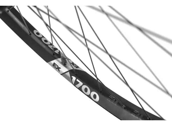 DT Swiss EX 1700 Spline Boost 29" wheelset