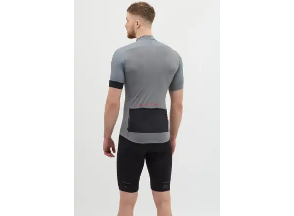 Silvini Carnio men's jersey short sleeve Grey/Black