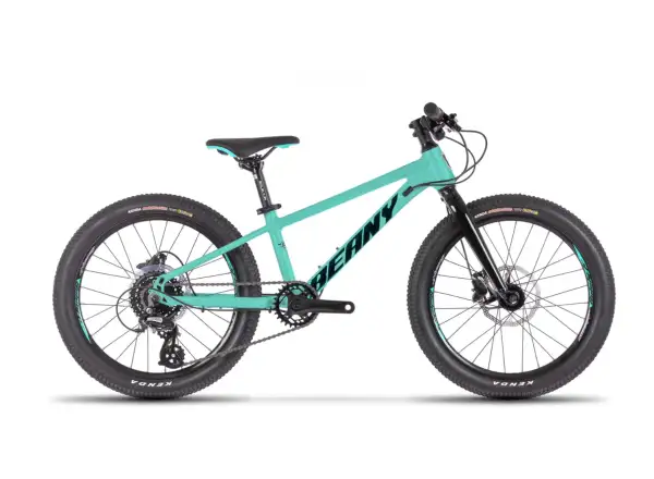 Beany Blaster XC 20 kids bicycle Mint