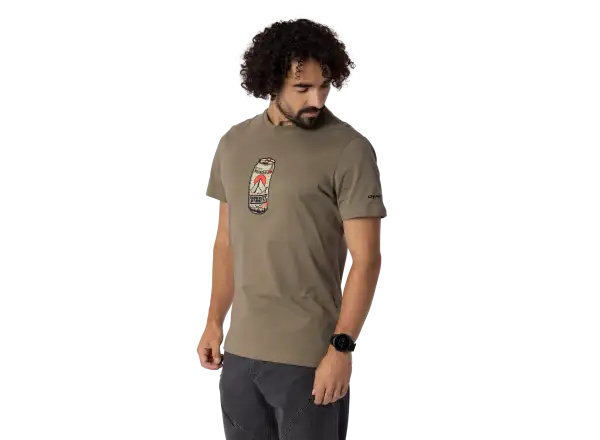 Dynafit Graphic Cotton men's T-shirt short sleeve Fallen Rock/Beer Can