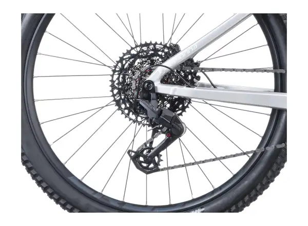 Crussis e-Fionna AX 10.12-M2S(800) mountain e-bike