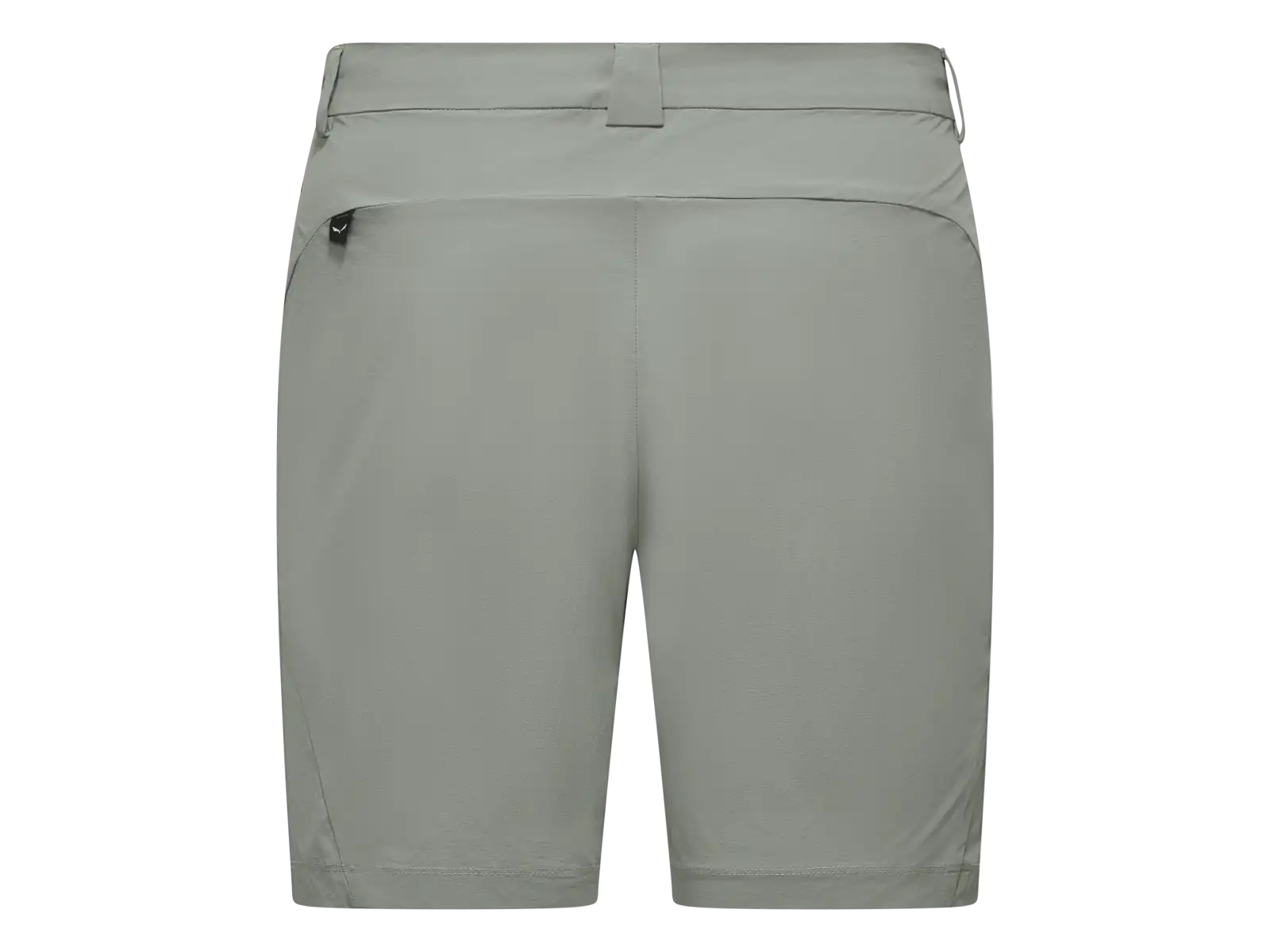 Salewa Puez Talvena women's shorts Faded green