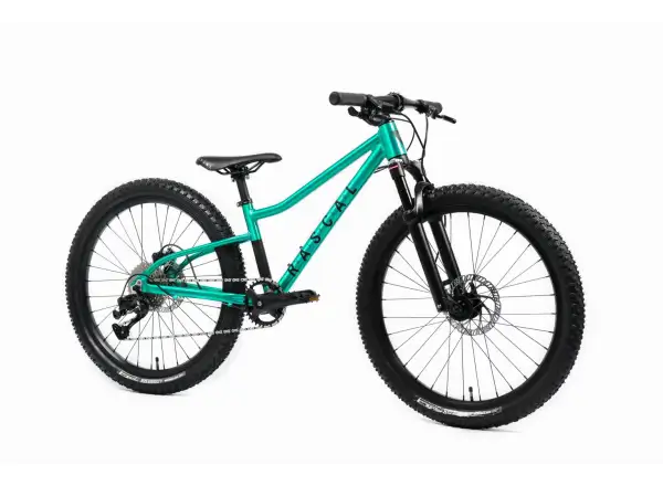 Rascal Wild 24 children's bike Emerald