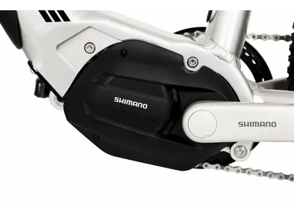 Rock Machine Blizzard INT e30-29 Gloss Silver/Black full-suspension e-bike
